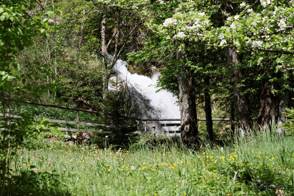 20150514_0157